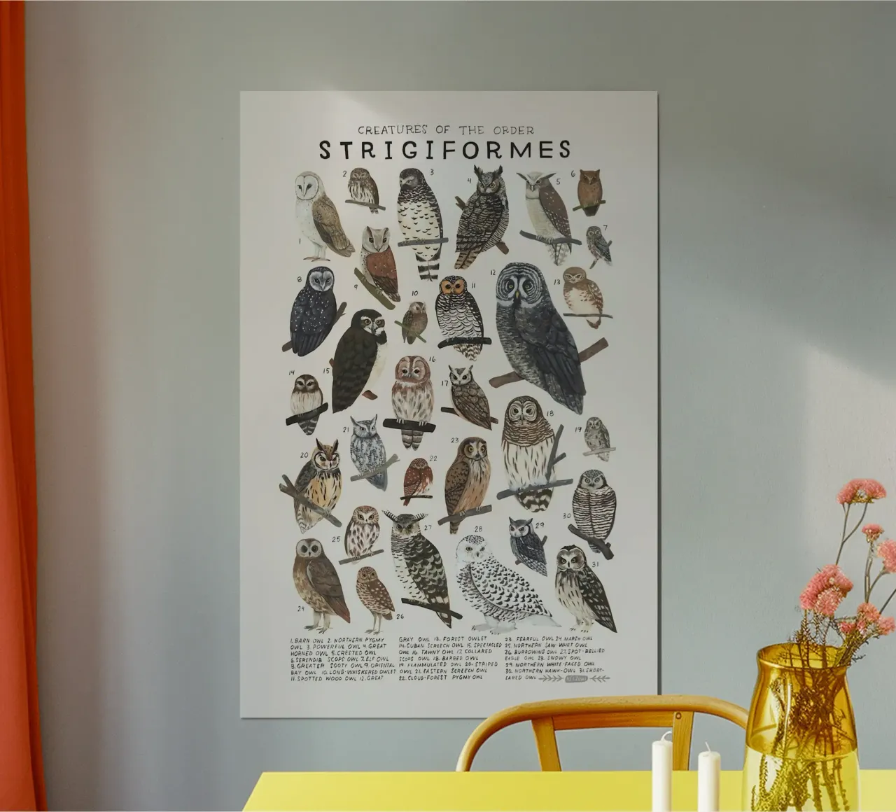 specie di uccelli poster con telaio in plastica da Amber Hughes