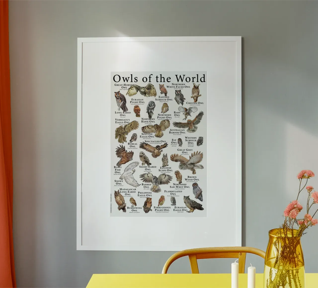 gufo del mondo poster con telaio in alluminio da Amber Hughes