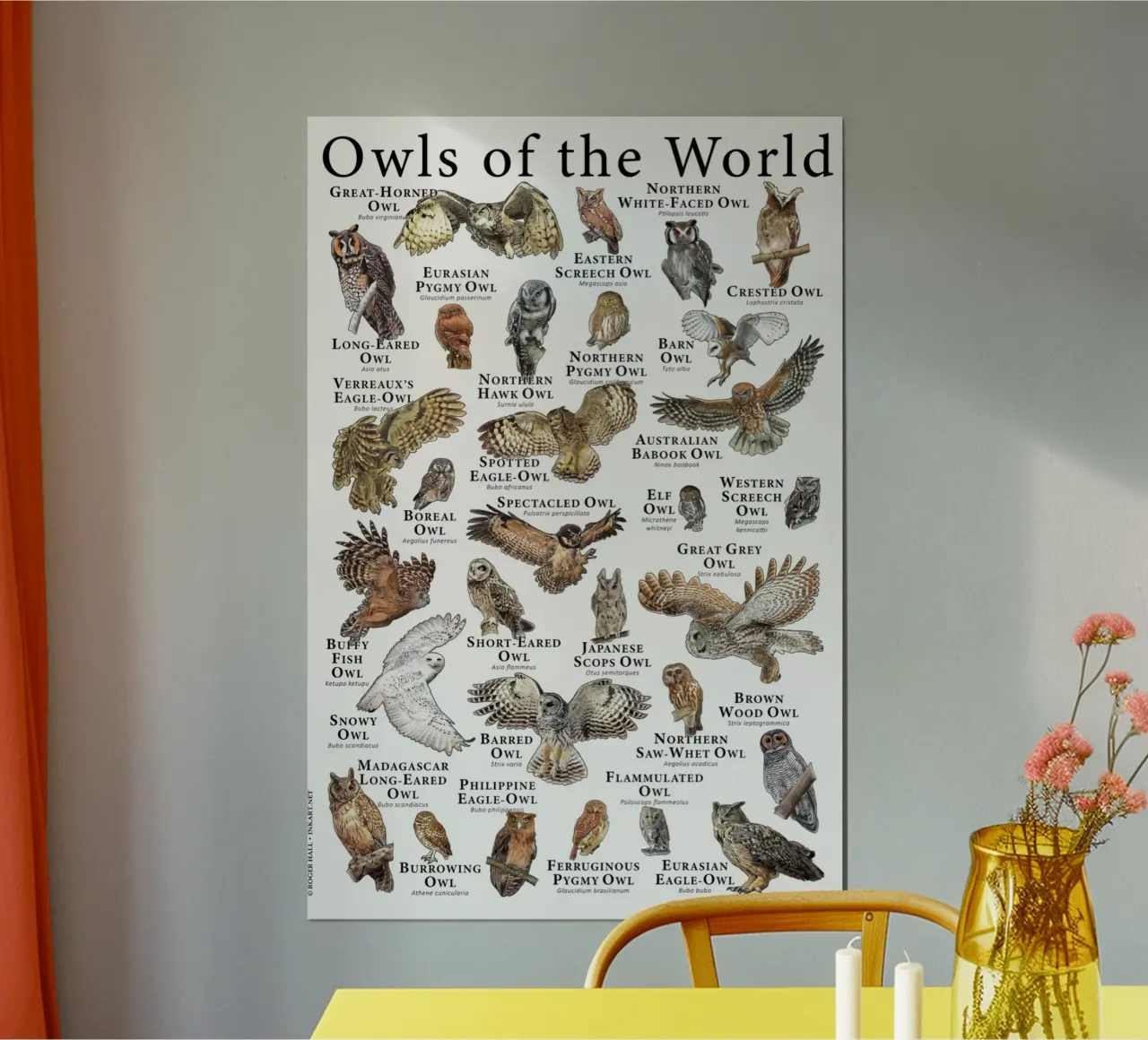 gufo del mondo poster con telaio in alluminio da Amber Hughes