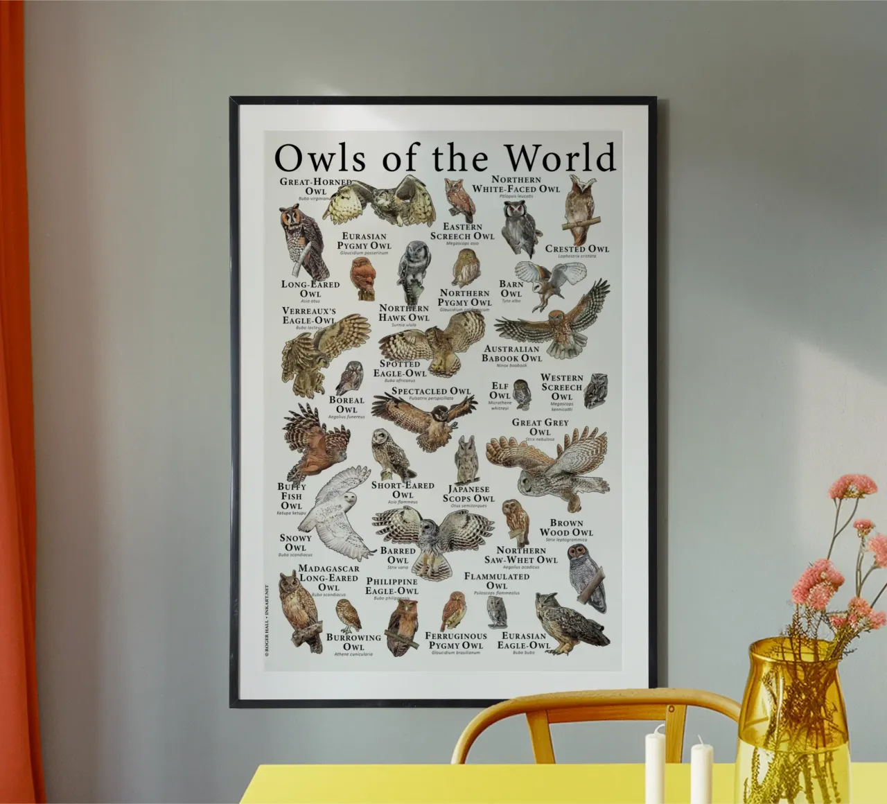 gufo del mondo poster con telaio in alluminio da Amber Hughes