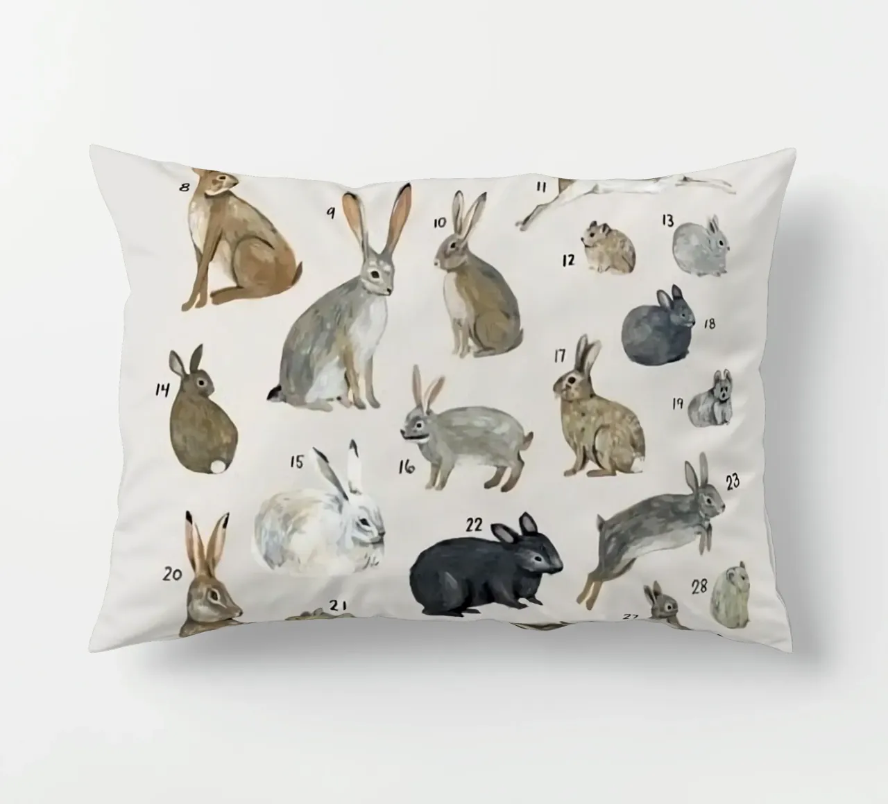 lagomorfi conigli cuscino da Amber Hughes