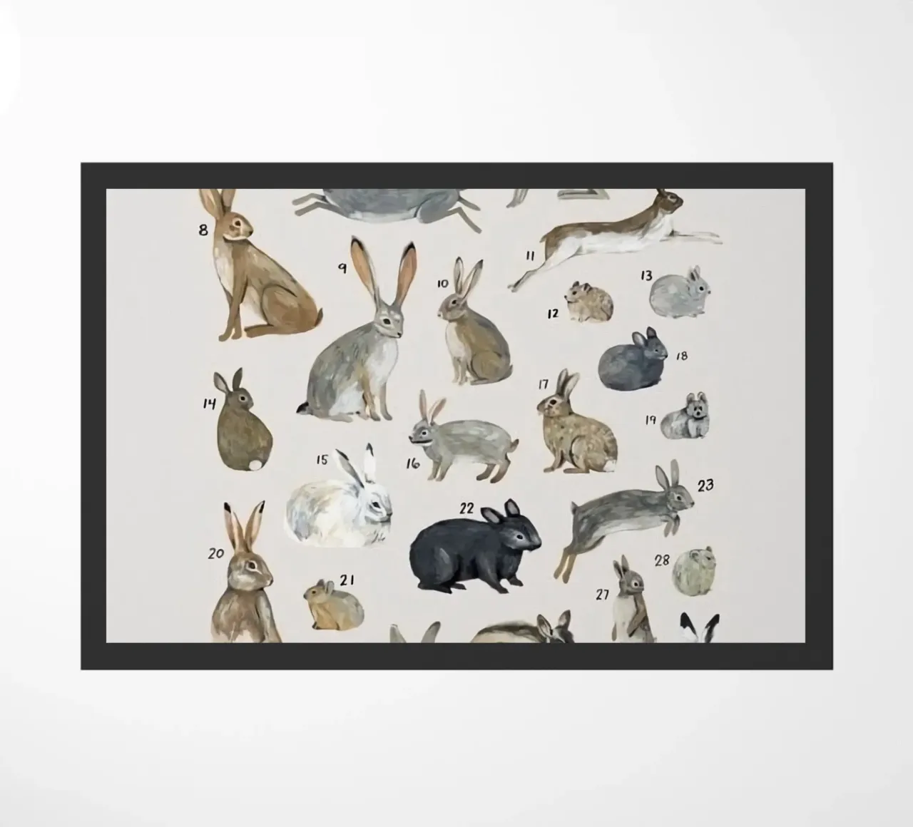 lagomorfi conigli zerbino da Amber Hughes