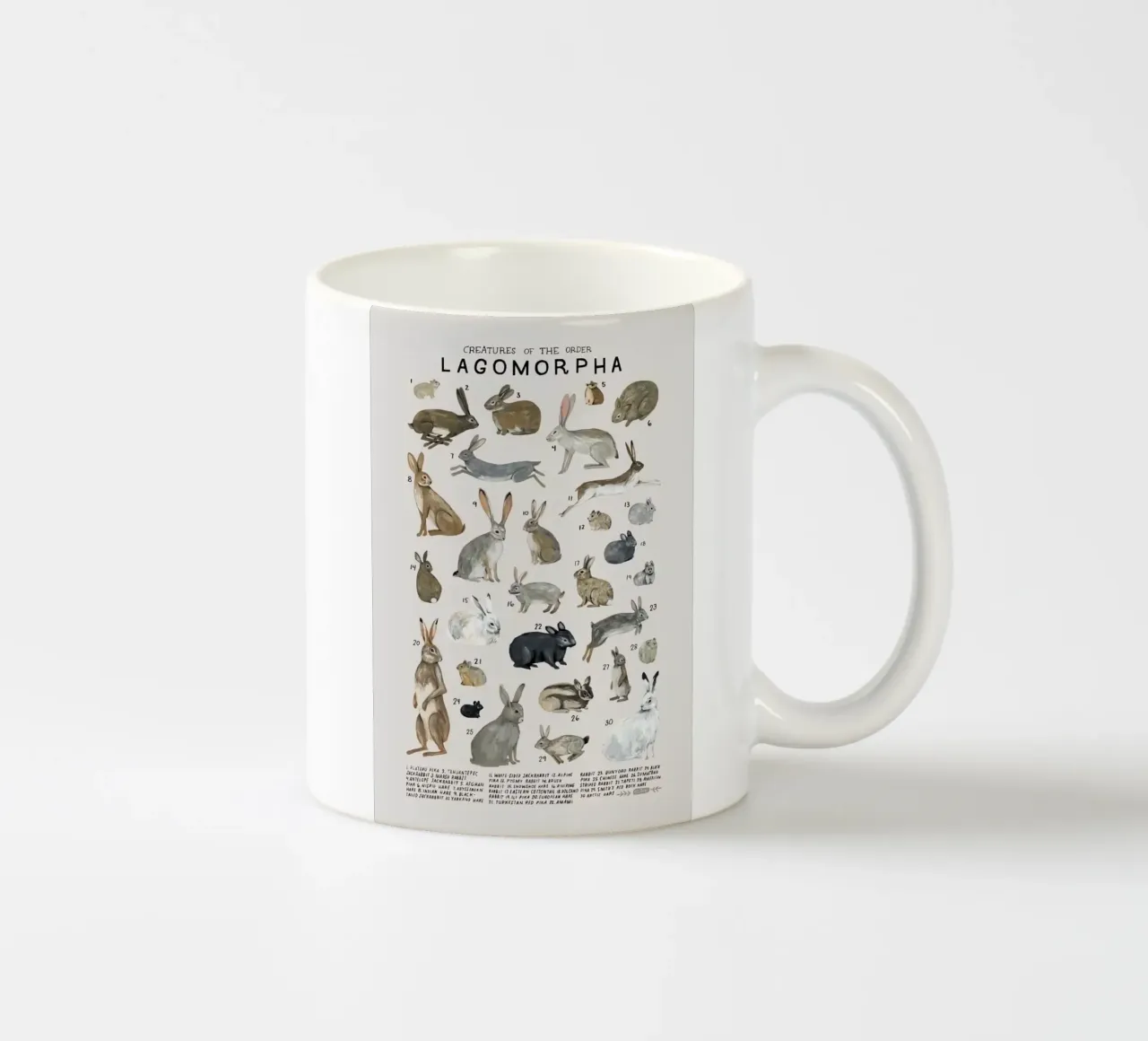 lagomorfi conigli tazza in ceramica da Amber Hughes