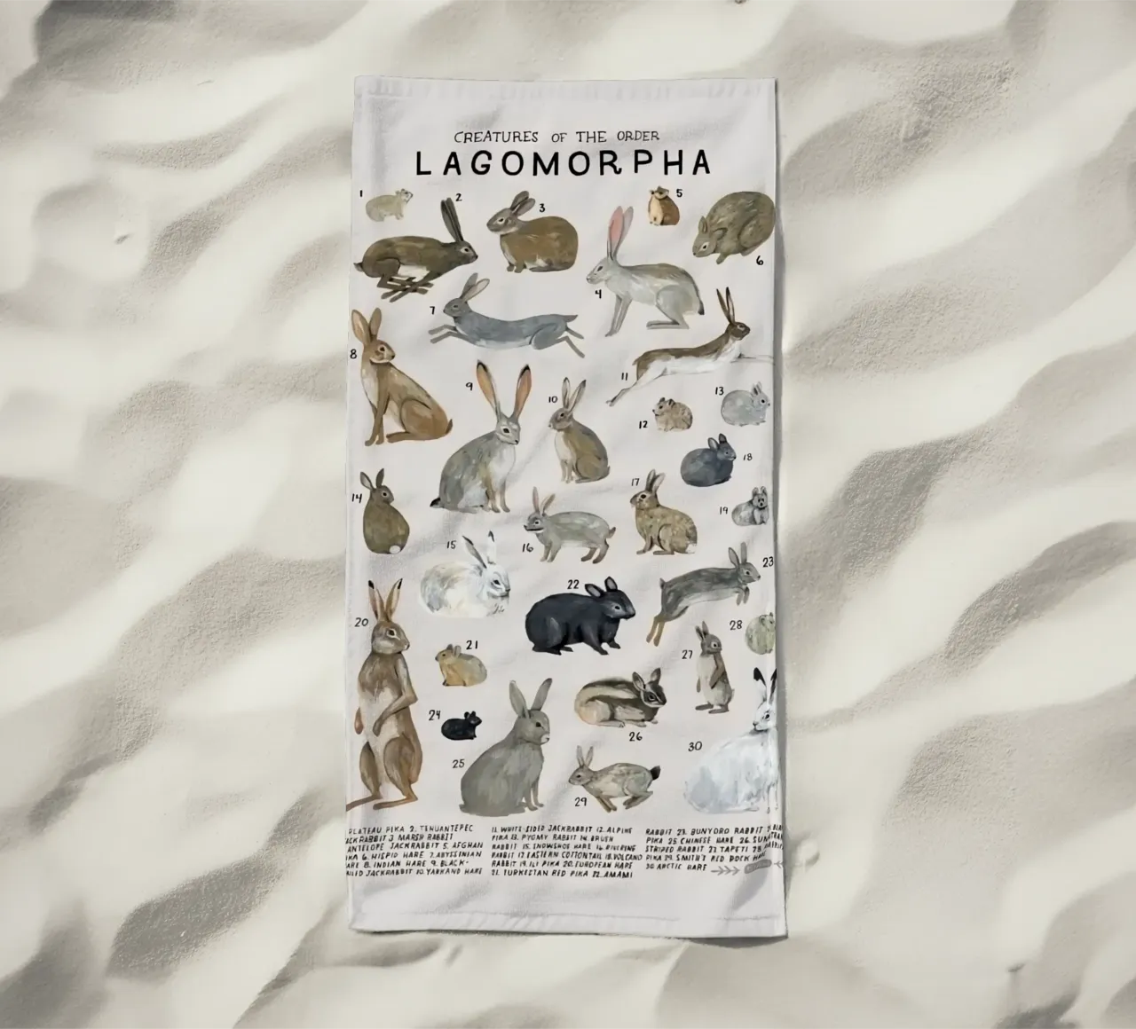 lagomorfi conigli telo mare da Amber Hughes