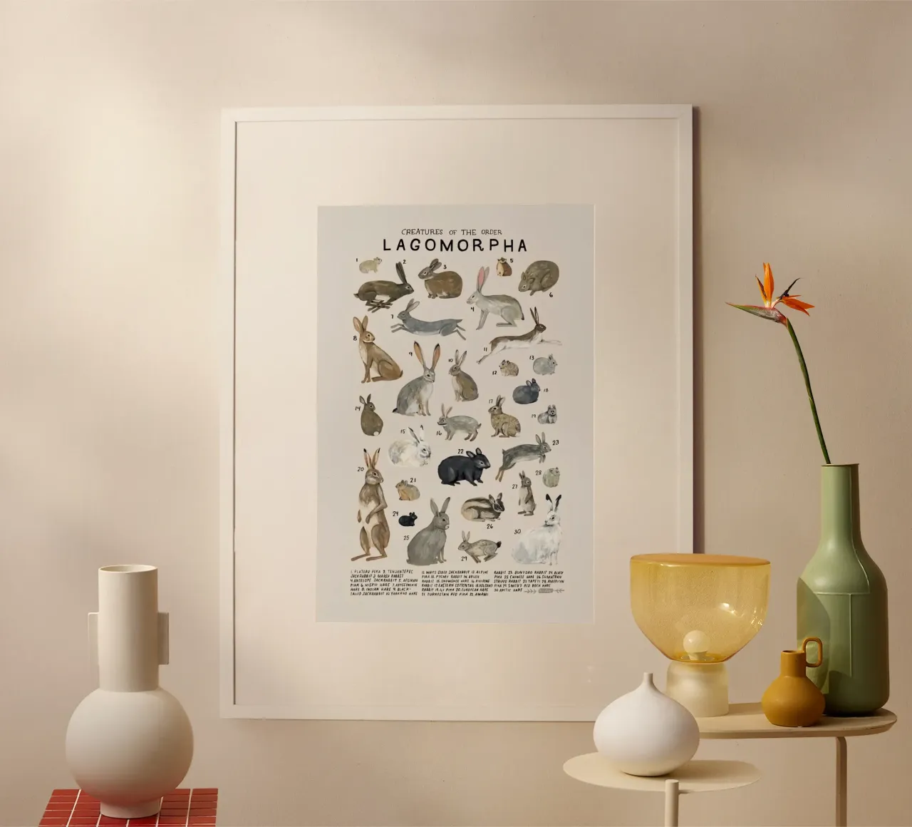 lagomorfi conigli poster da Amber Hughes