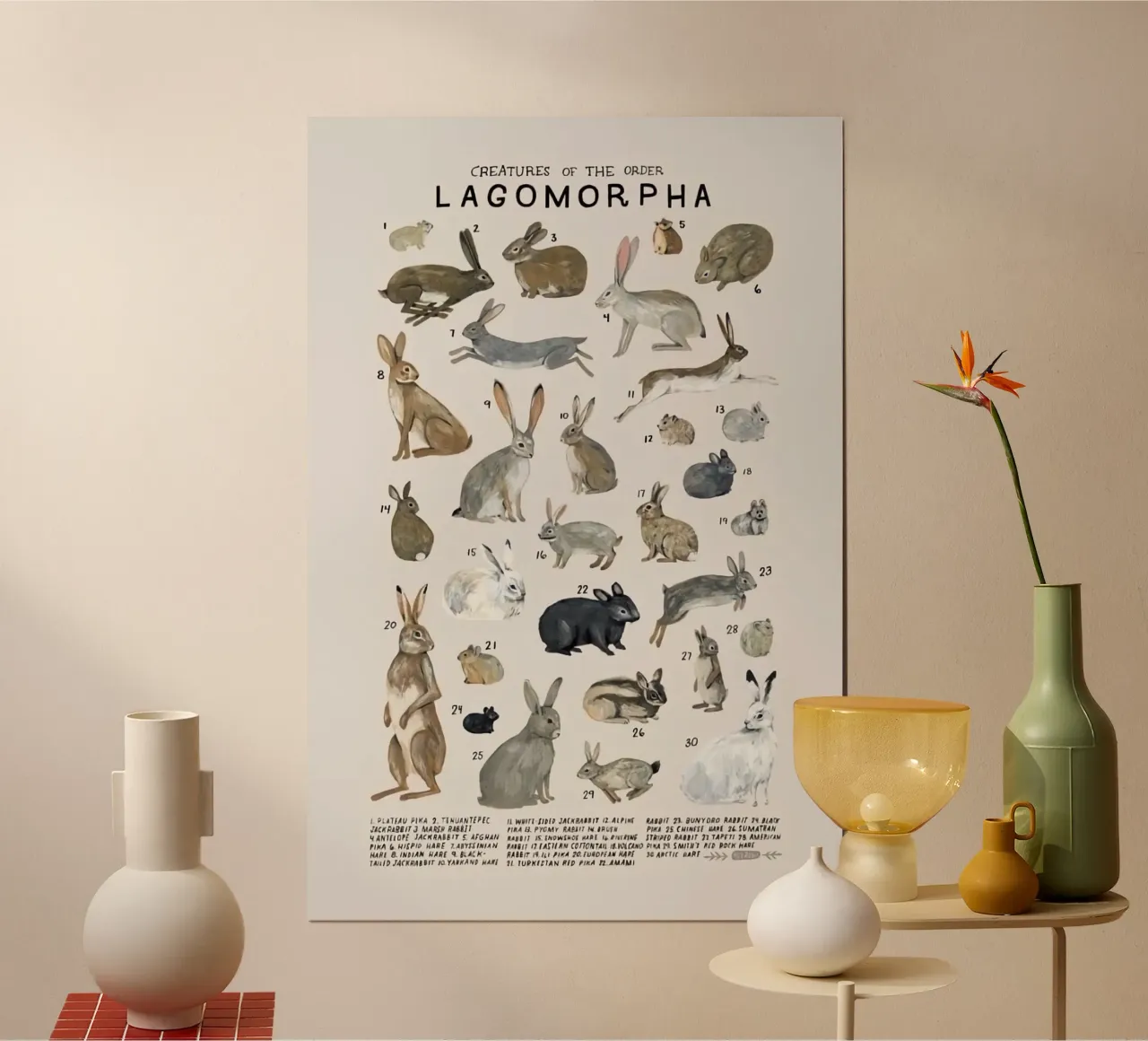 lagomorfi conigli poster da Amber Hughes