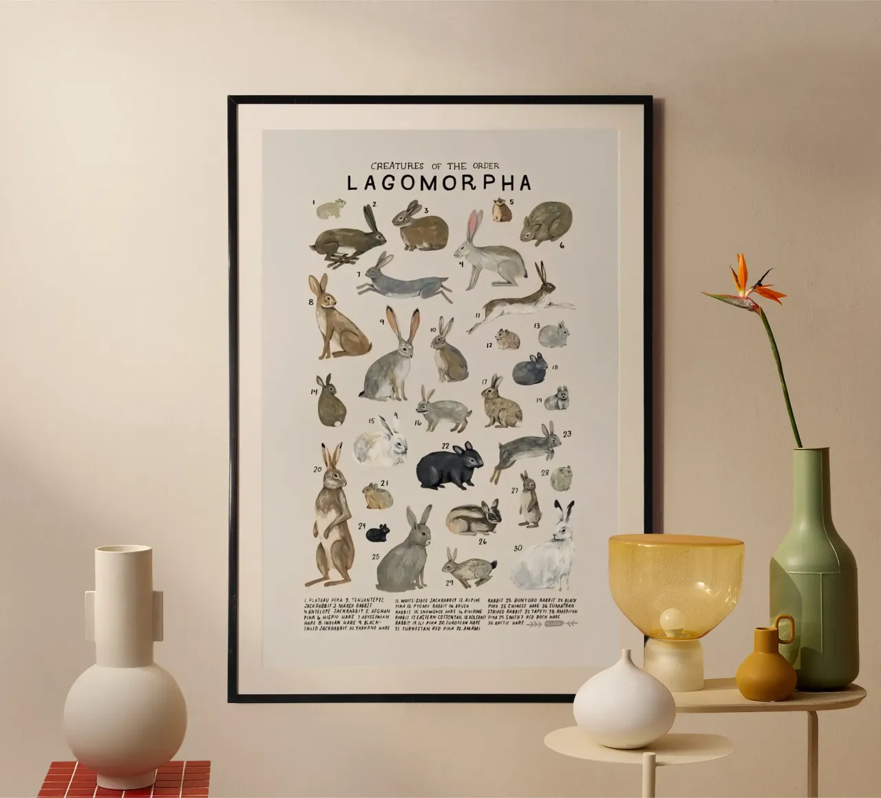 lagomorfi conigli poster da Amber Hughes