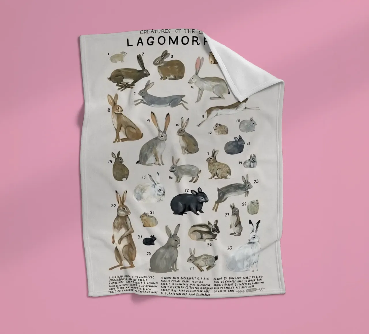 lagomorfi conigli coperta in pile da Amber Hughes