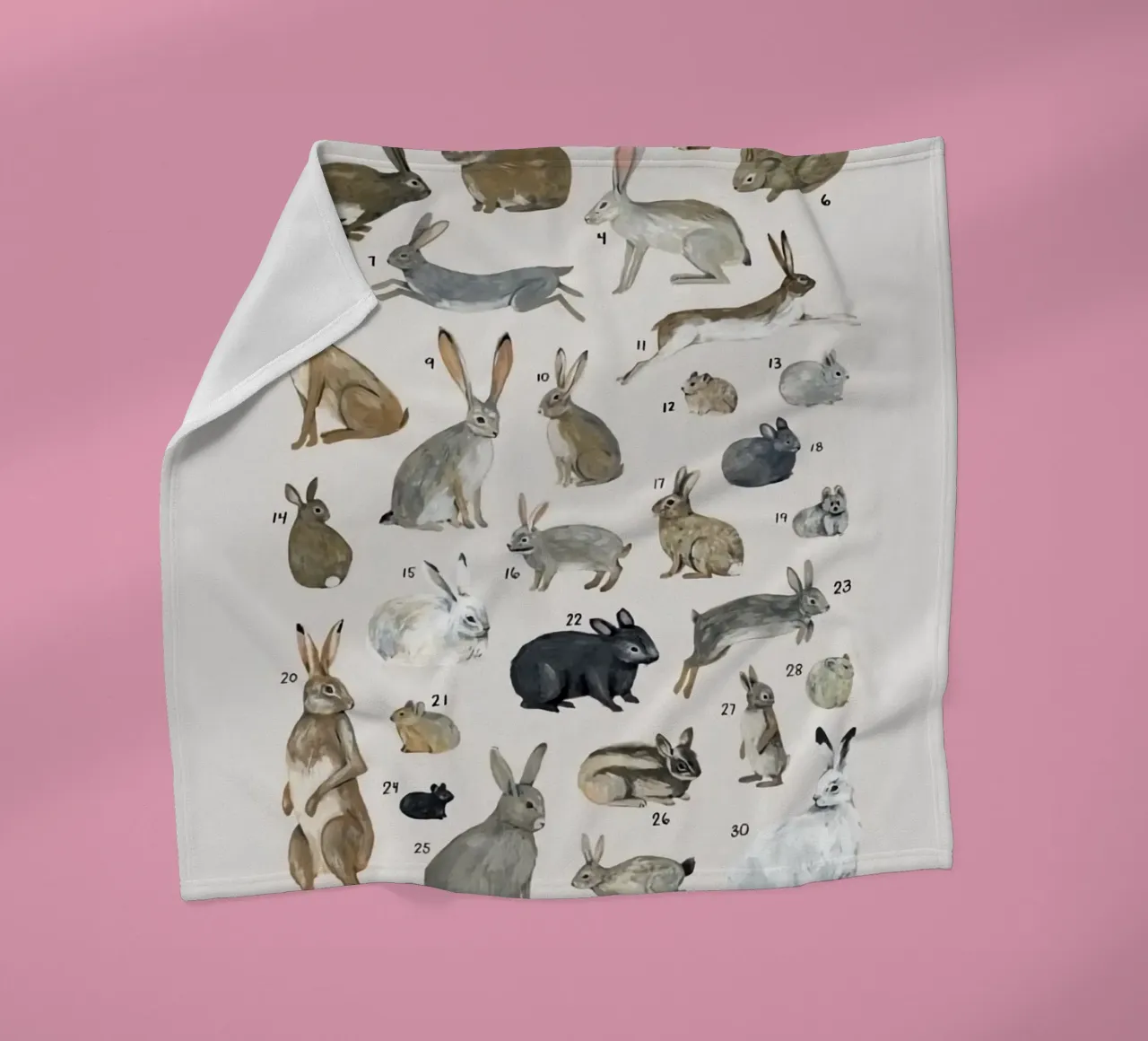 lagomorfi conigli coperta in pile da Amber Hughes
