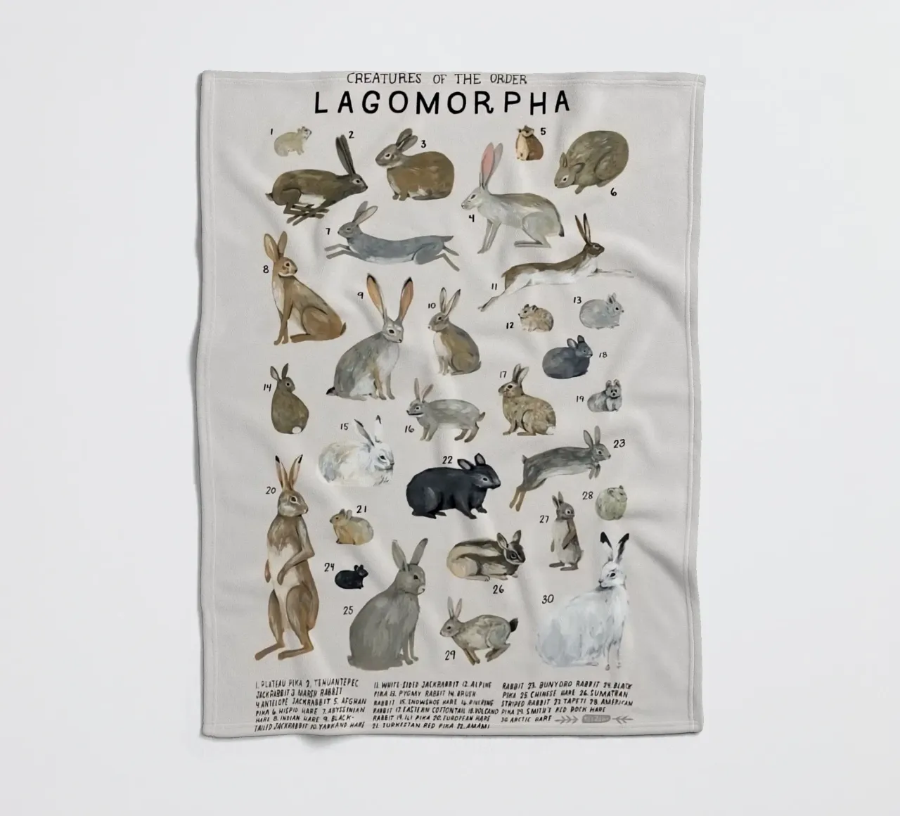 lagomorfi conigli coperta in pile da Amber Hughes