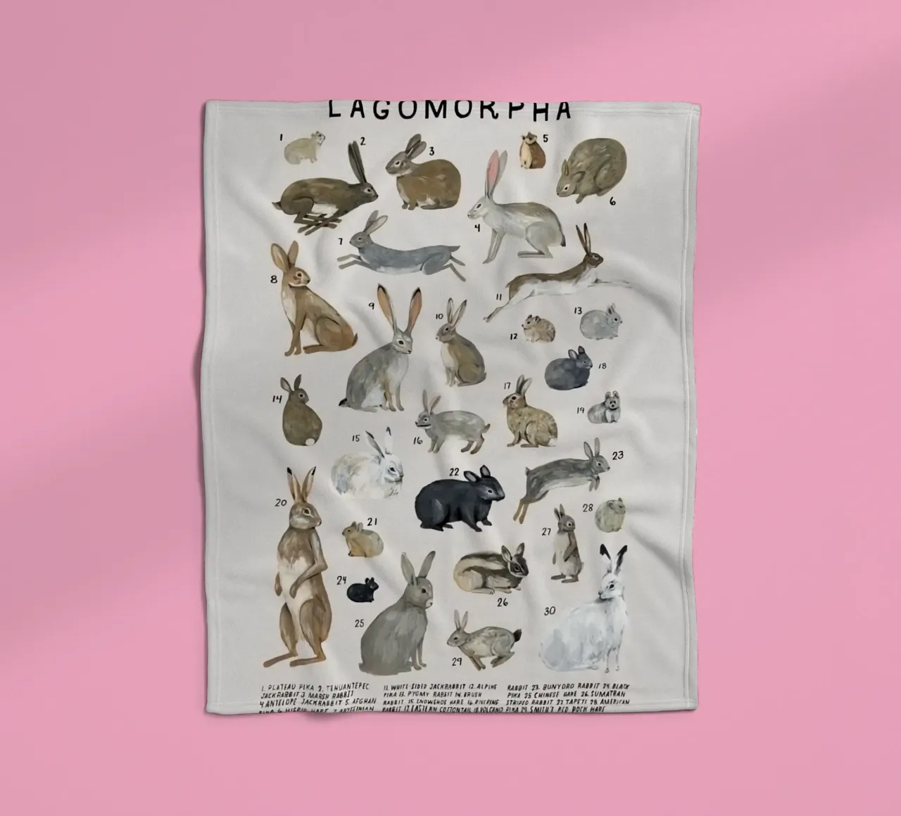 lagomorfi conigli coperta in pile da Amber Hughes