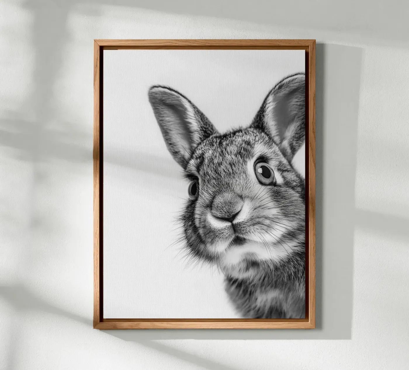 Fluffy rabbit forex plate by Carinaprint
