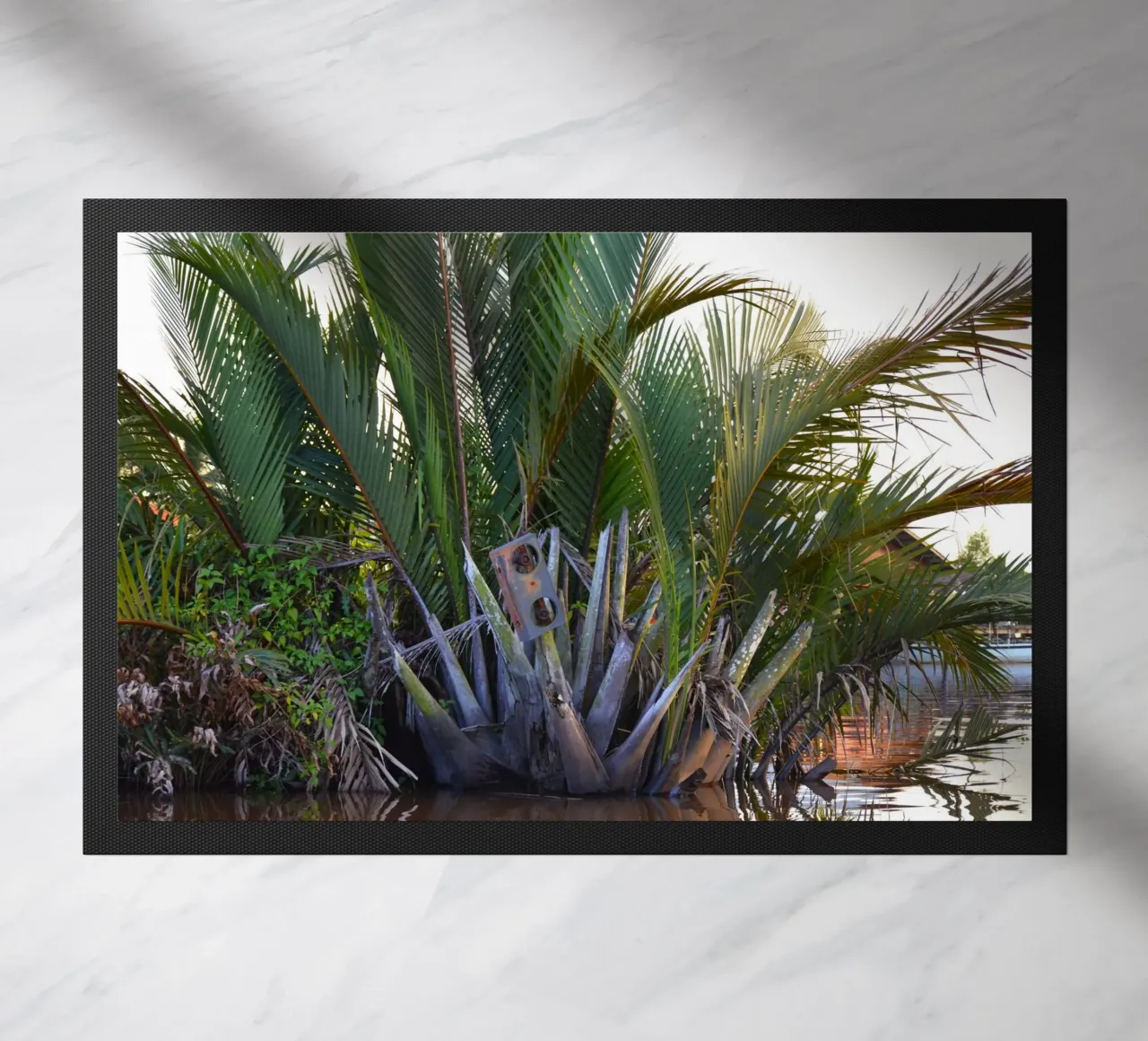 Speaker caught in Nipa Palm in the Klias Peninsula doormat by byrieneke