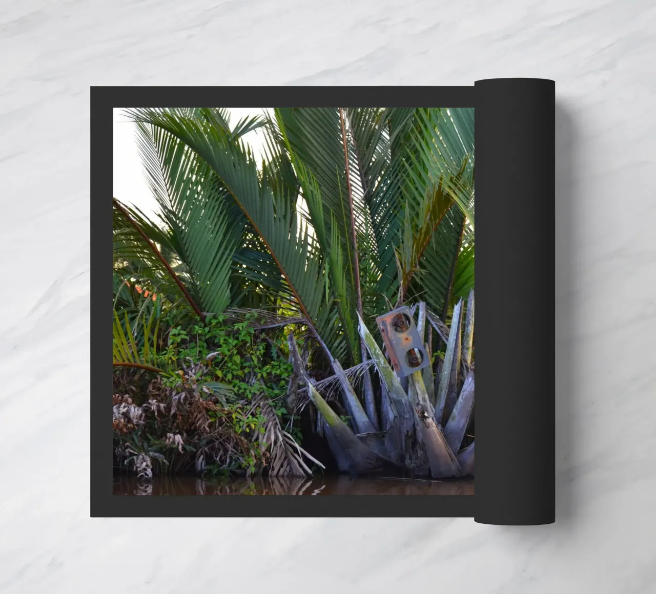 Speaker caught in Nipa Palm in the Klias Peninsula doormat by byrieneke