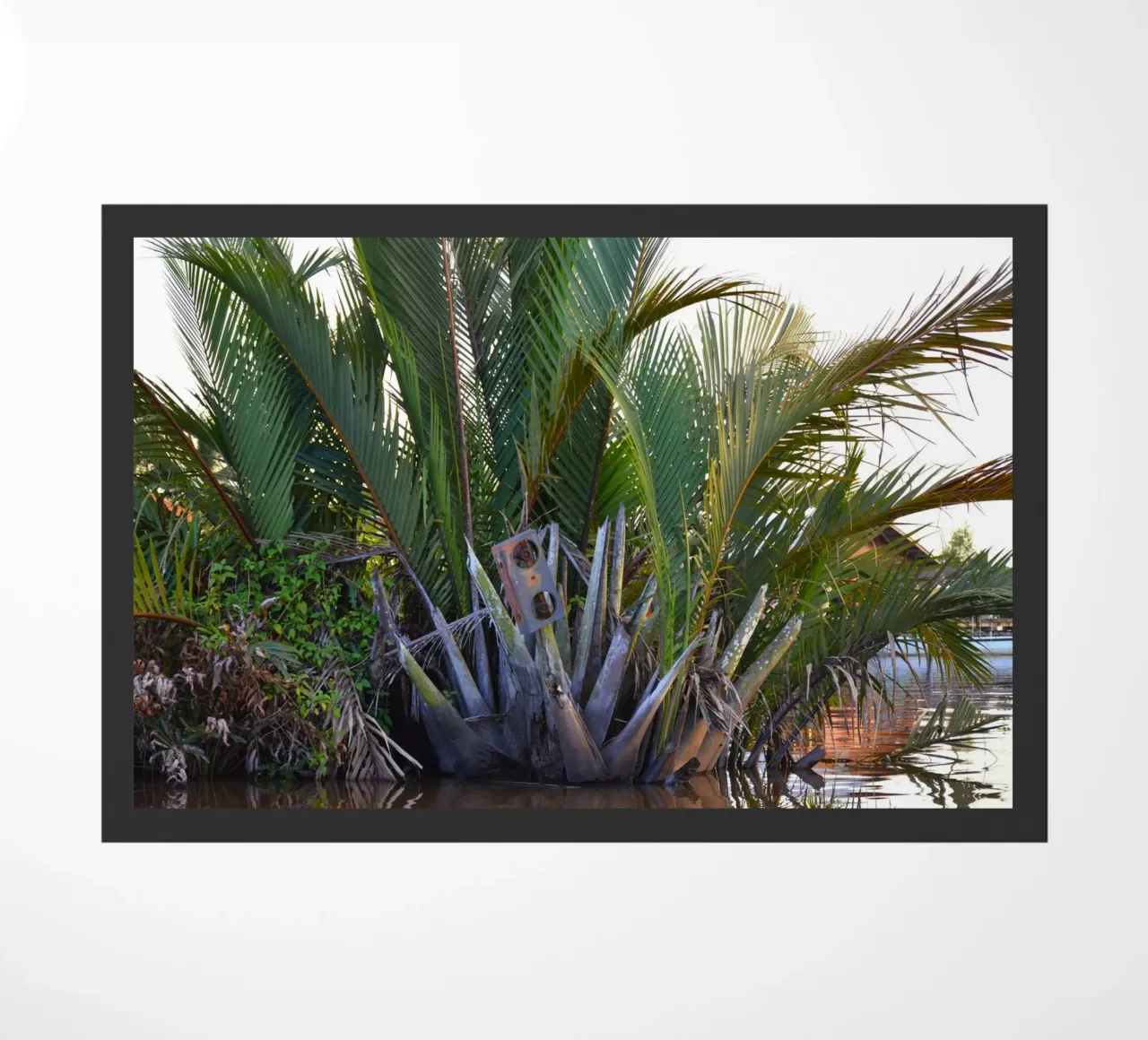 Speaker caught in Nipa Palm in the Klias Peninsula doormat by byrieneke