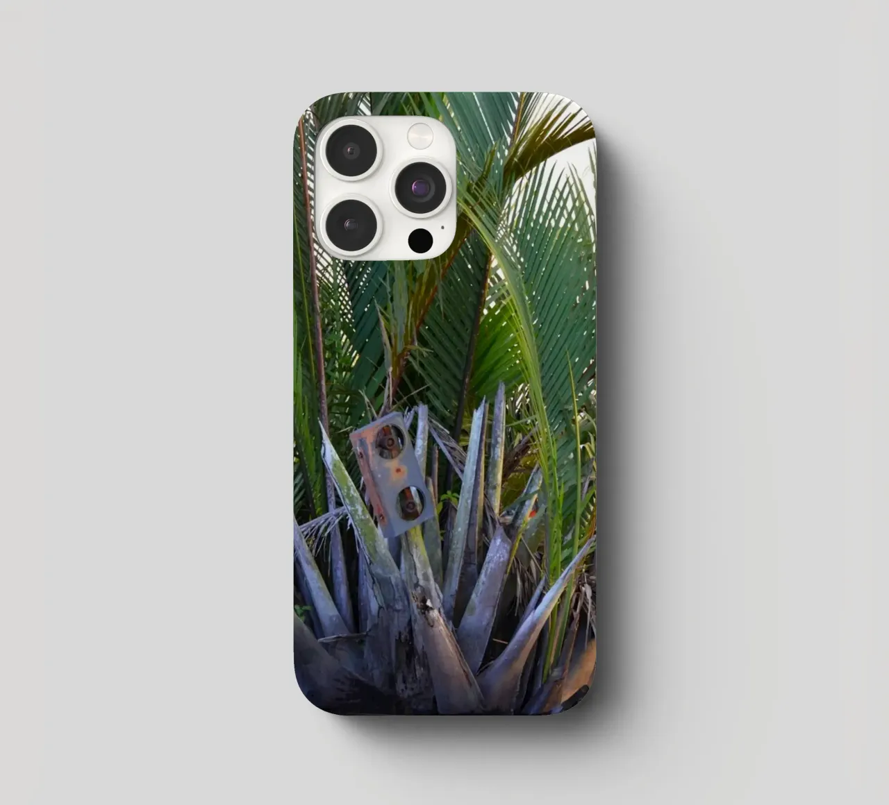 Conférencier pris dans un palmier Nipa dans la péninsule de Klias coque iphone de byrieneke