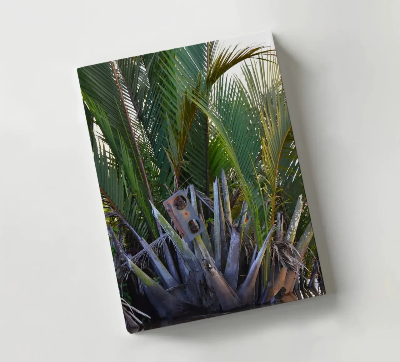 Speaker caught in Nipa Palm in the Klias Peninsula notebook by byrieneke