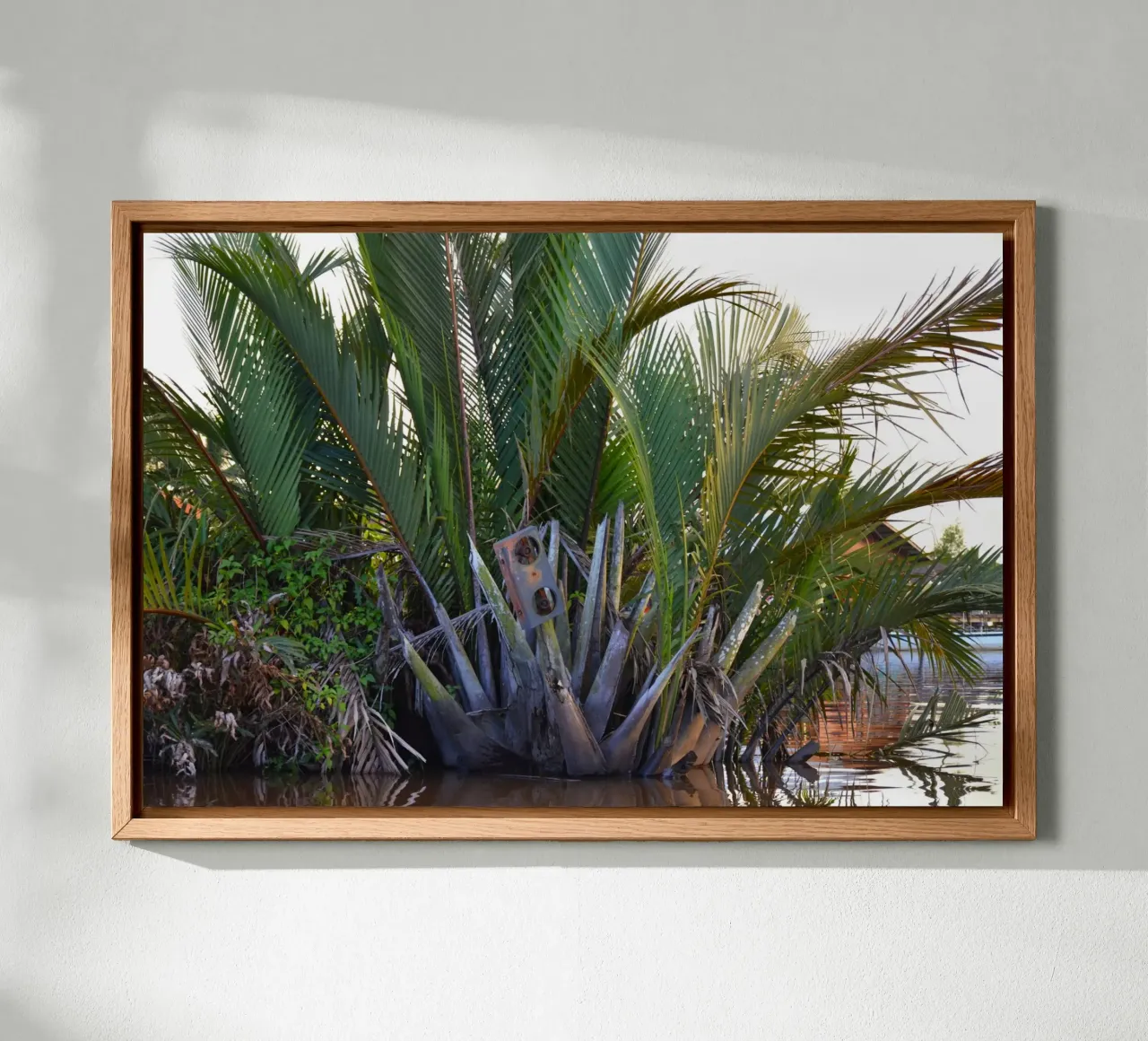 Speaker caught in Nipa Palm in the Klias Peninsula canvas by byrieneke
