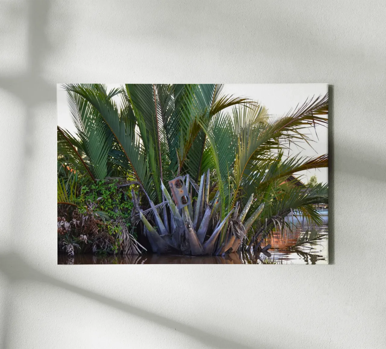 Speaker caught in Nipa Palm in the Klias Peninsula canvas by byrieneke