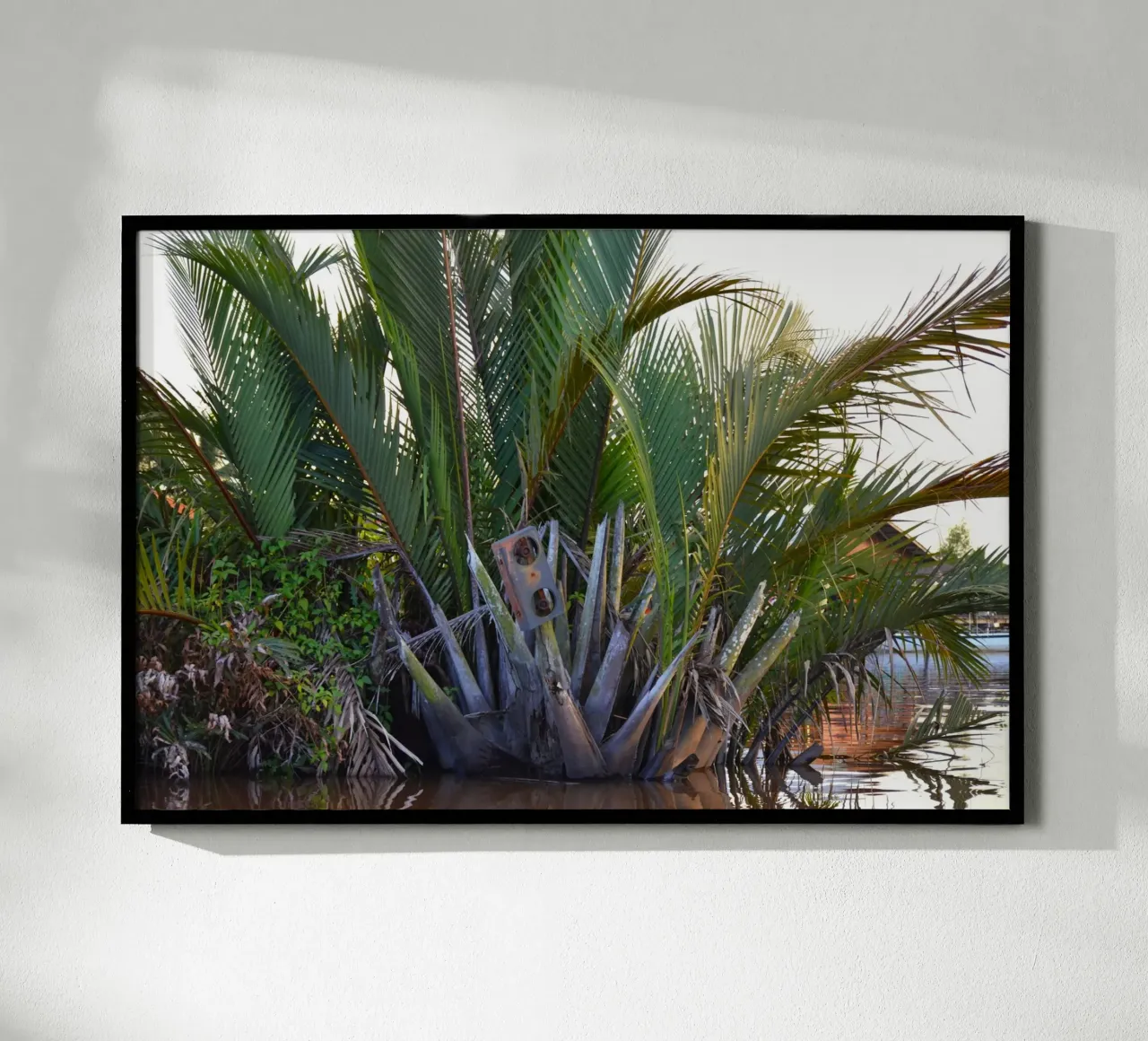 Altoparlante catturato nella palma Nipa nella penisola di Klias poster con telaio in plastica da byrieneke