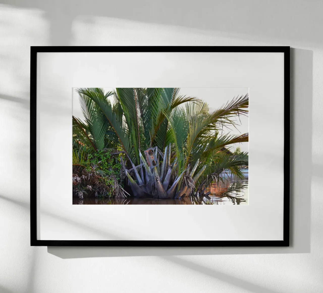 Speaker caught in Nipa Palm in the Klias Peninsula hahnemühle by byrieneke