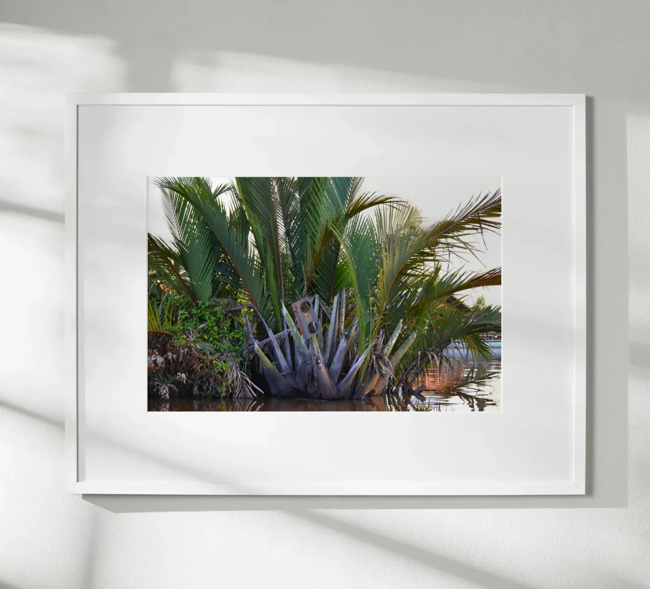 Speaker caught in Nipa Palm in the Klias Peninsula hahnemühle by byrieneke