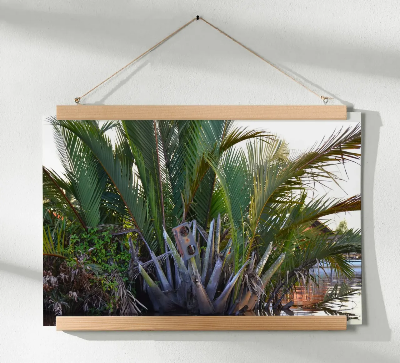 Altoparlante catturato nella palma Nipa nella penisola di Klias poster con telaio in plastica da byrieneke