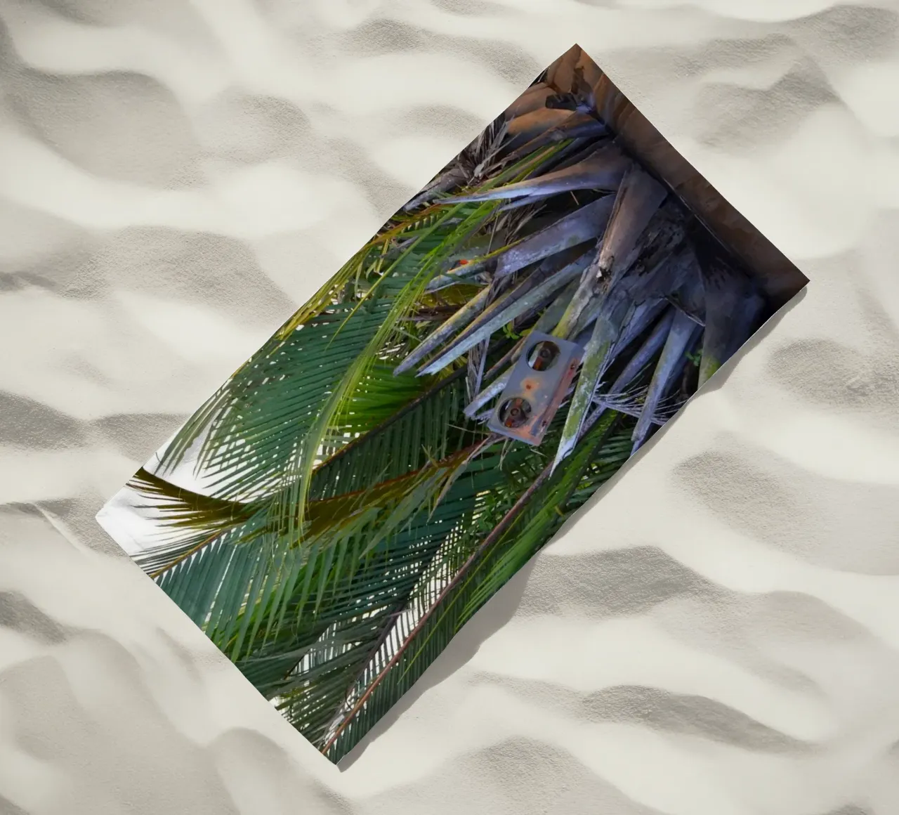 Speaker caught in Nipa Palm in the Klias Peninsula beach towel by byrieneke