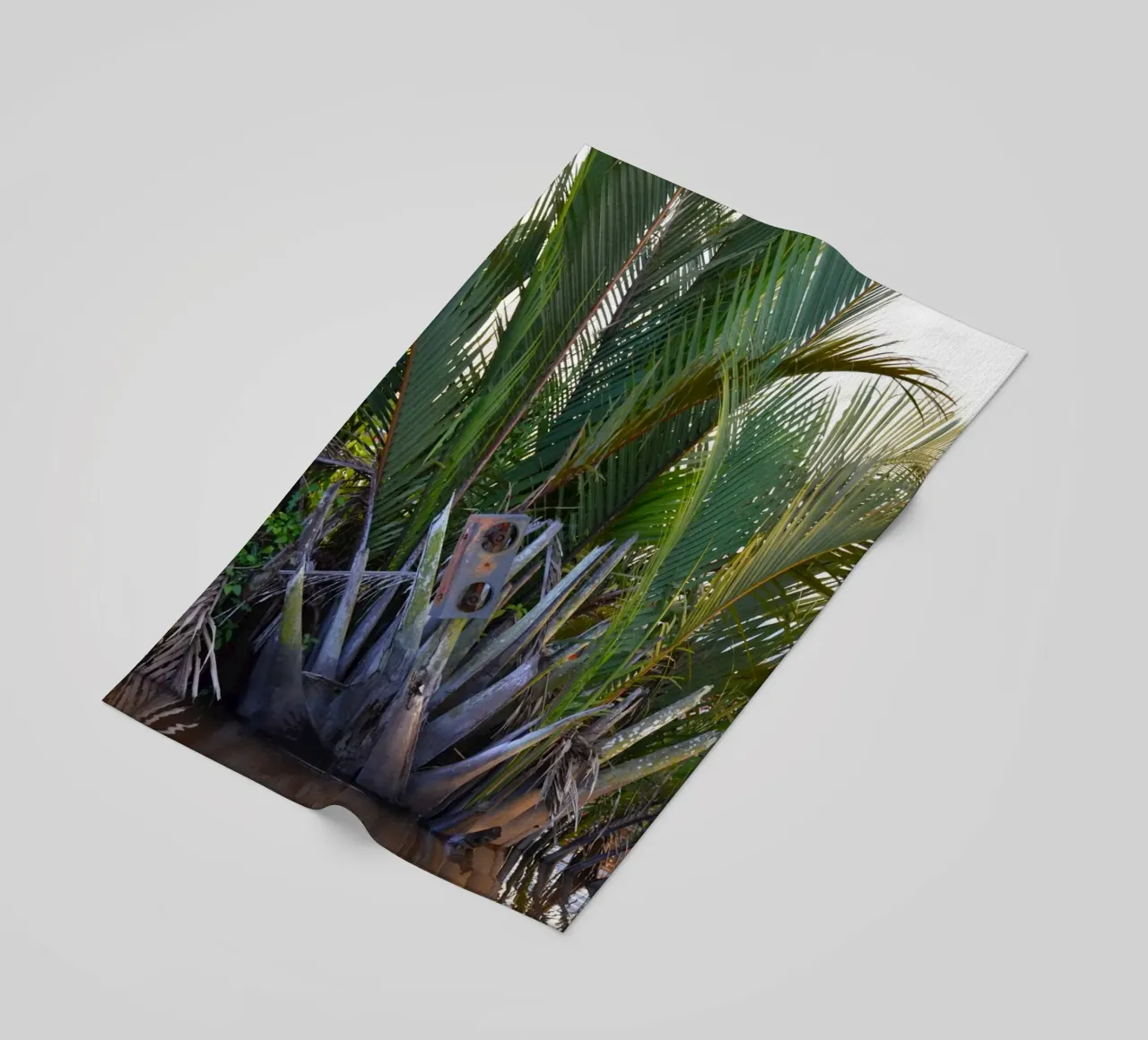 Speaker caught in Nipa Palm in the Klias Peninsula beach towel by byrieneke