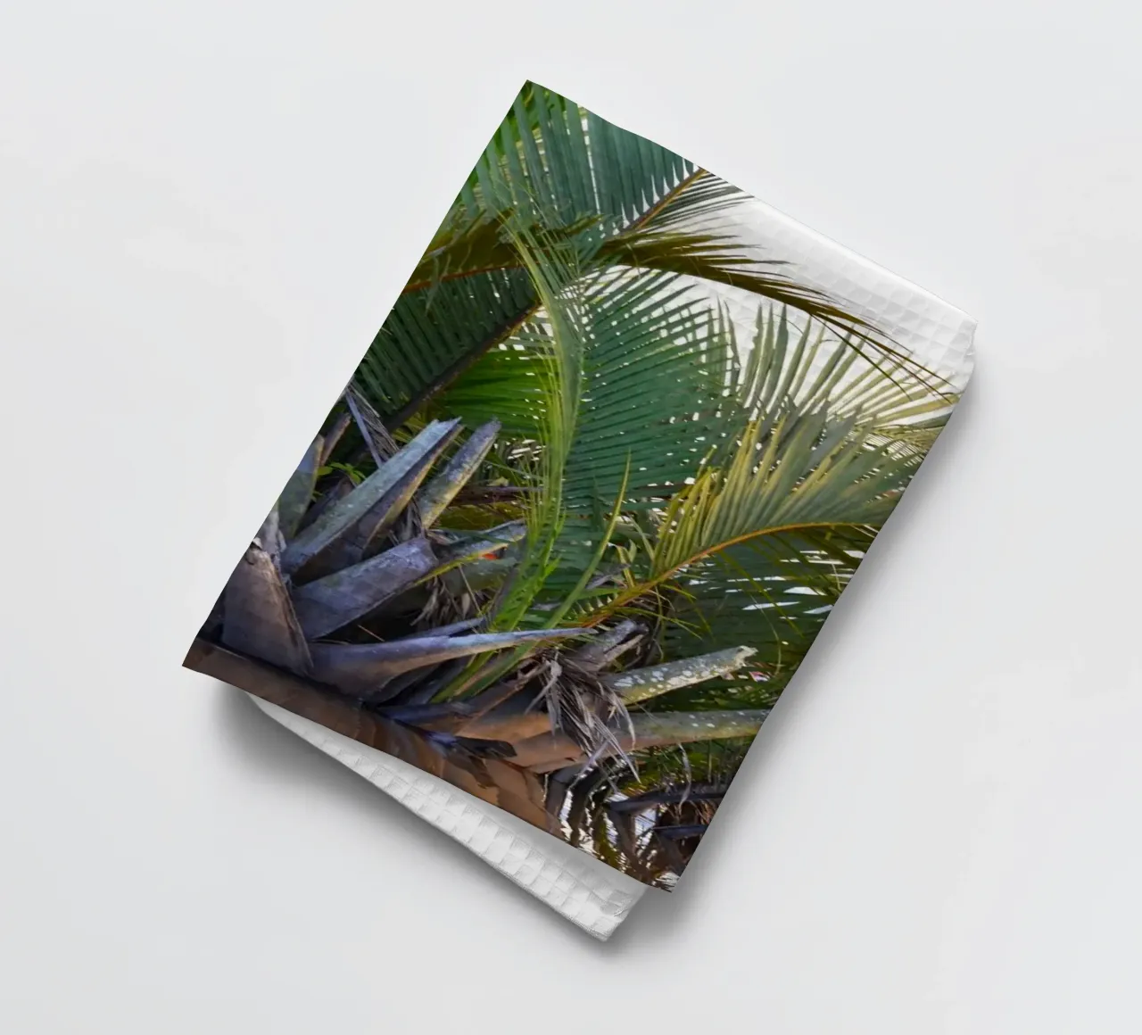 Speaker caught in Nipa Palm in the Klias Peninsula tea towel by byrieneke