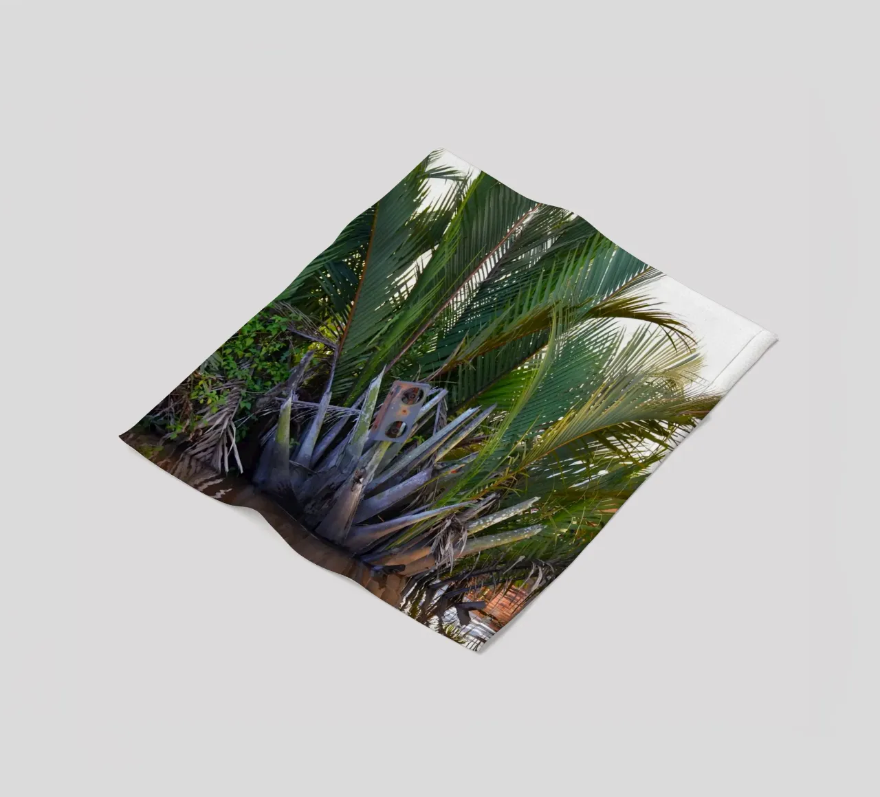 Speaker caught in Nipa Palm in the Klias Peninsula fleece blanket by byrieneke