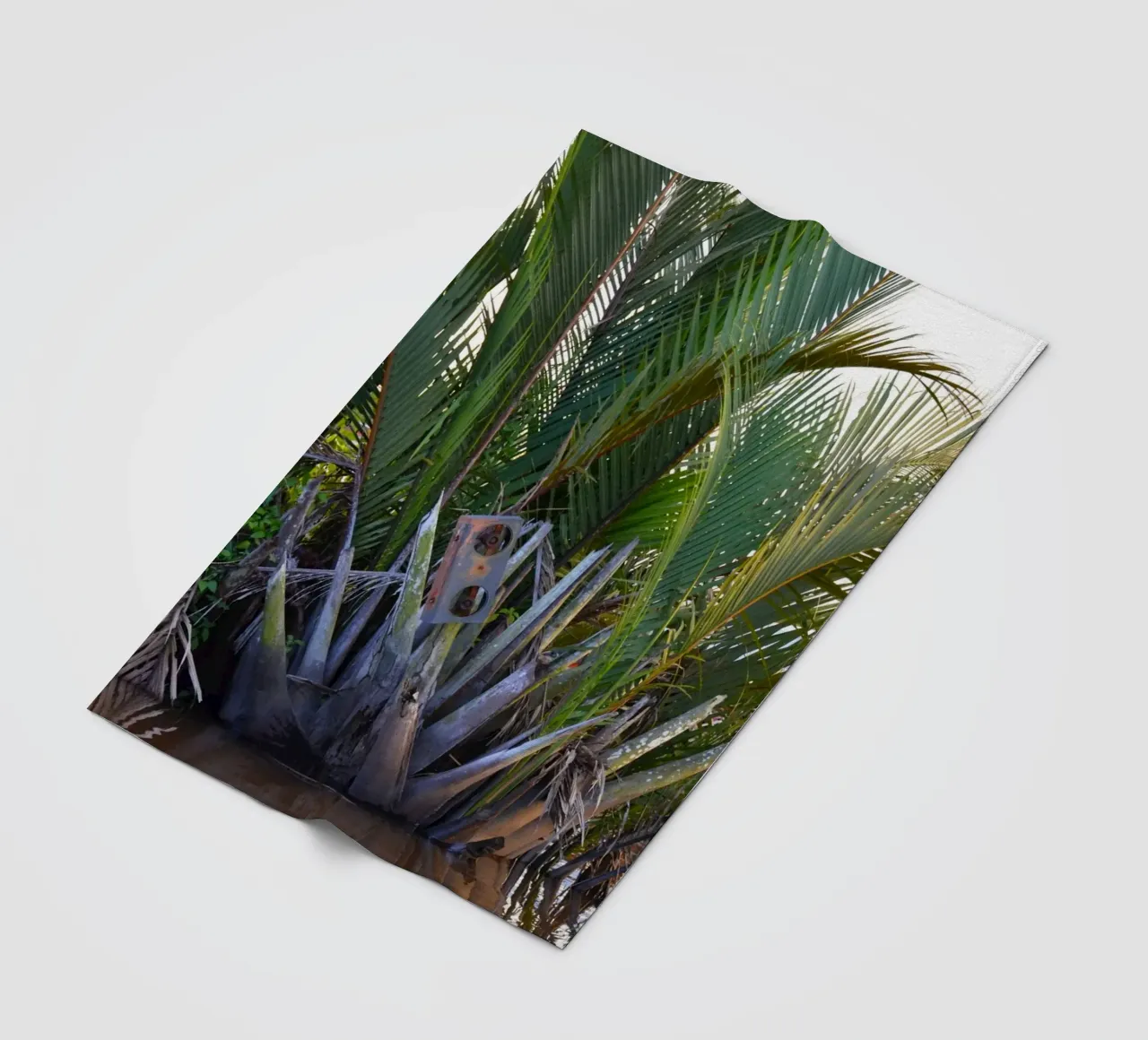 Speaker caught in Nipa Palm in the Klias Peninsula fleece blanket by byrieneke