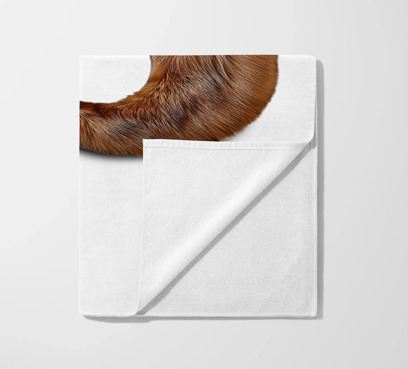 b - castoro telo mare da The True Type