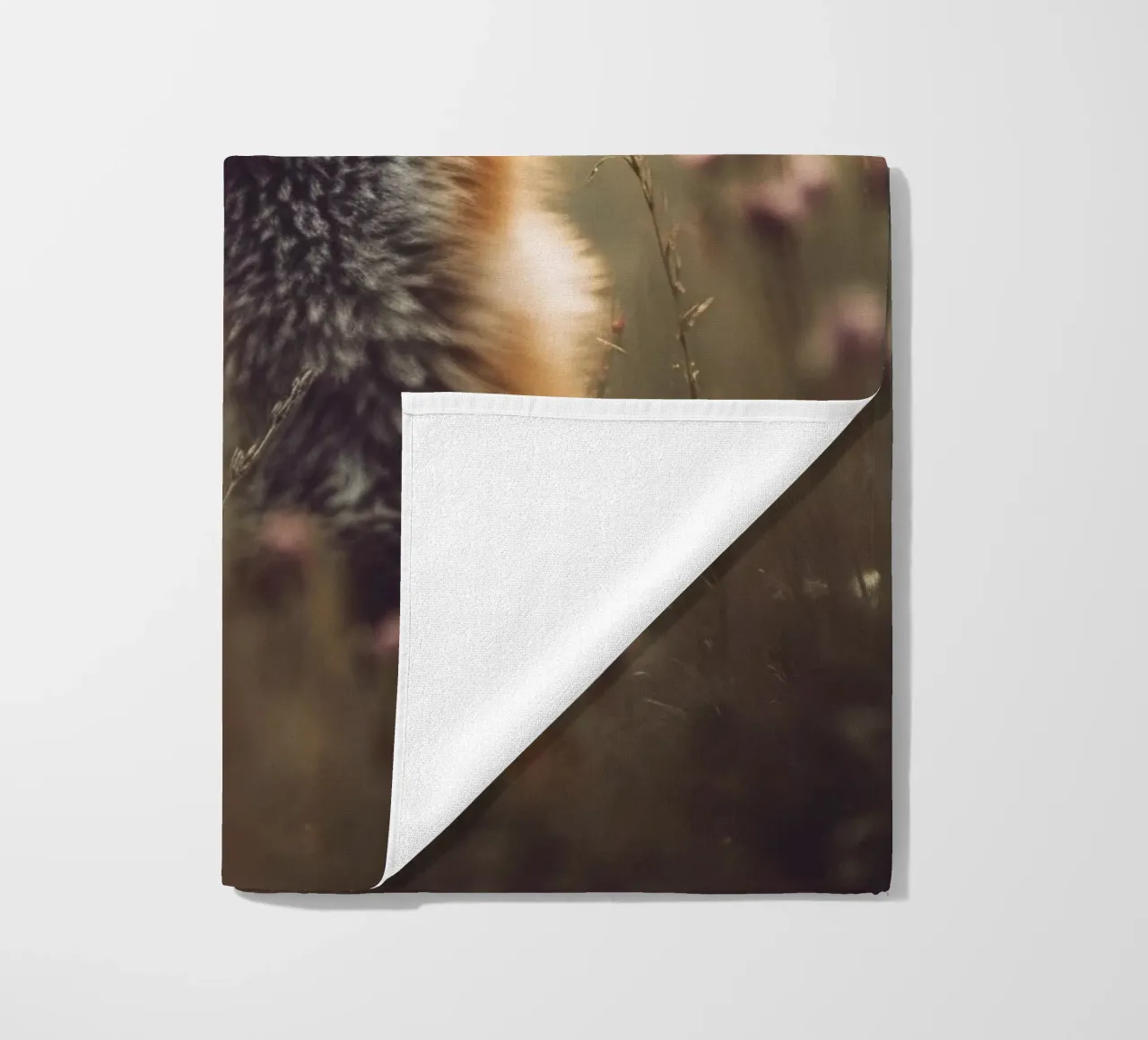 Young Fox telo mare da treechild