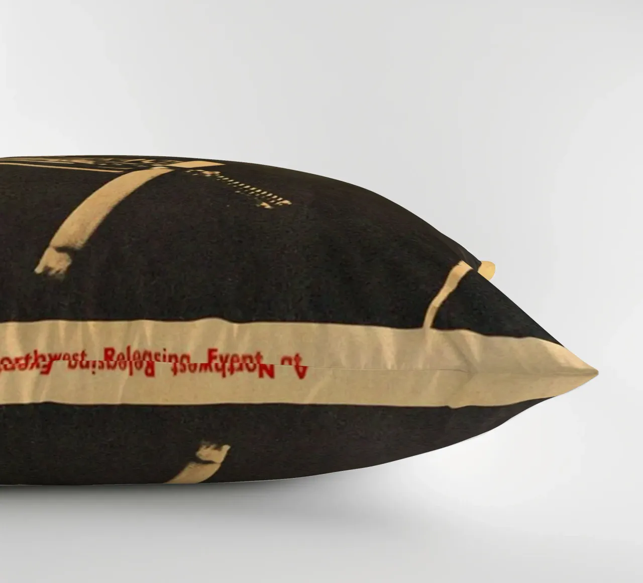 Le sessioni di Bob Dylan cuscino da xerico