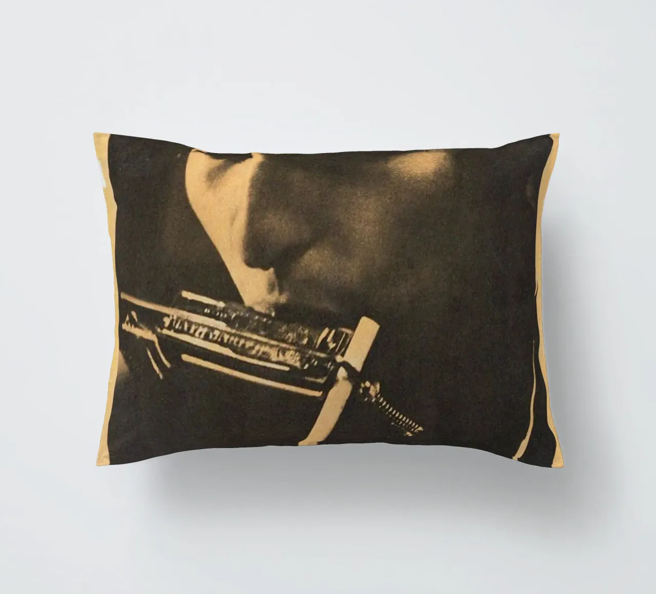 Le sessioni di Bob Dylan cuscino da xerico