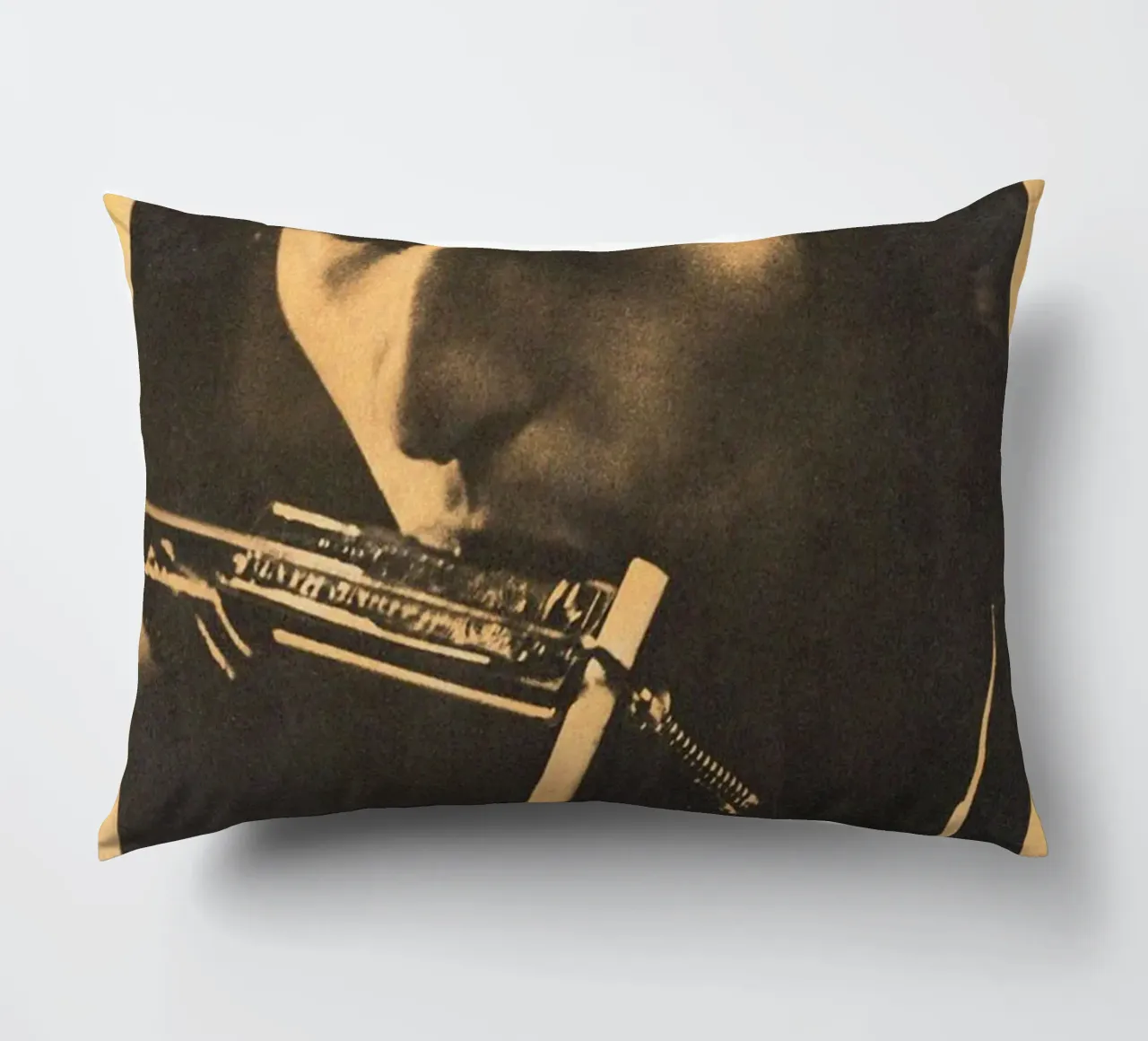 Le sessioni di Bob Dylan cuscino da xerico