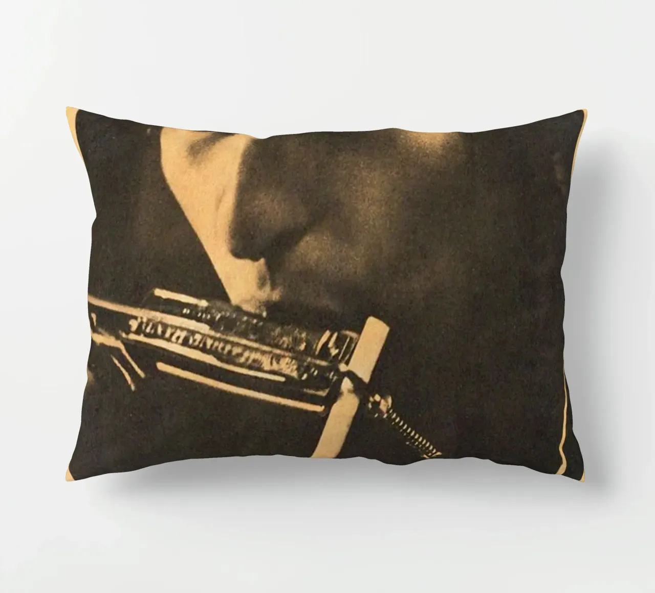 Le sessioni di Bob Dylan cuscino da xerico