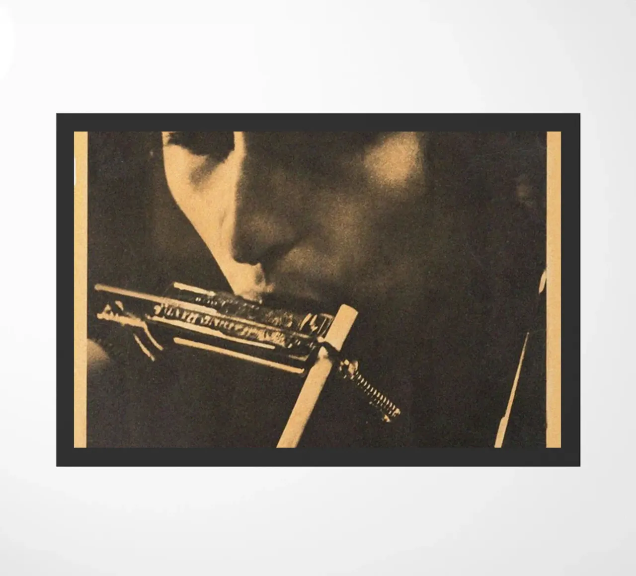 Le sessioni di Bob Dylan zerbino da xerico