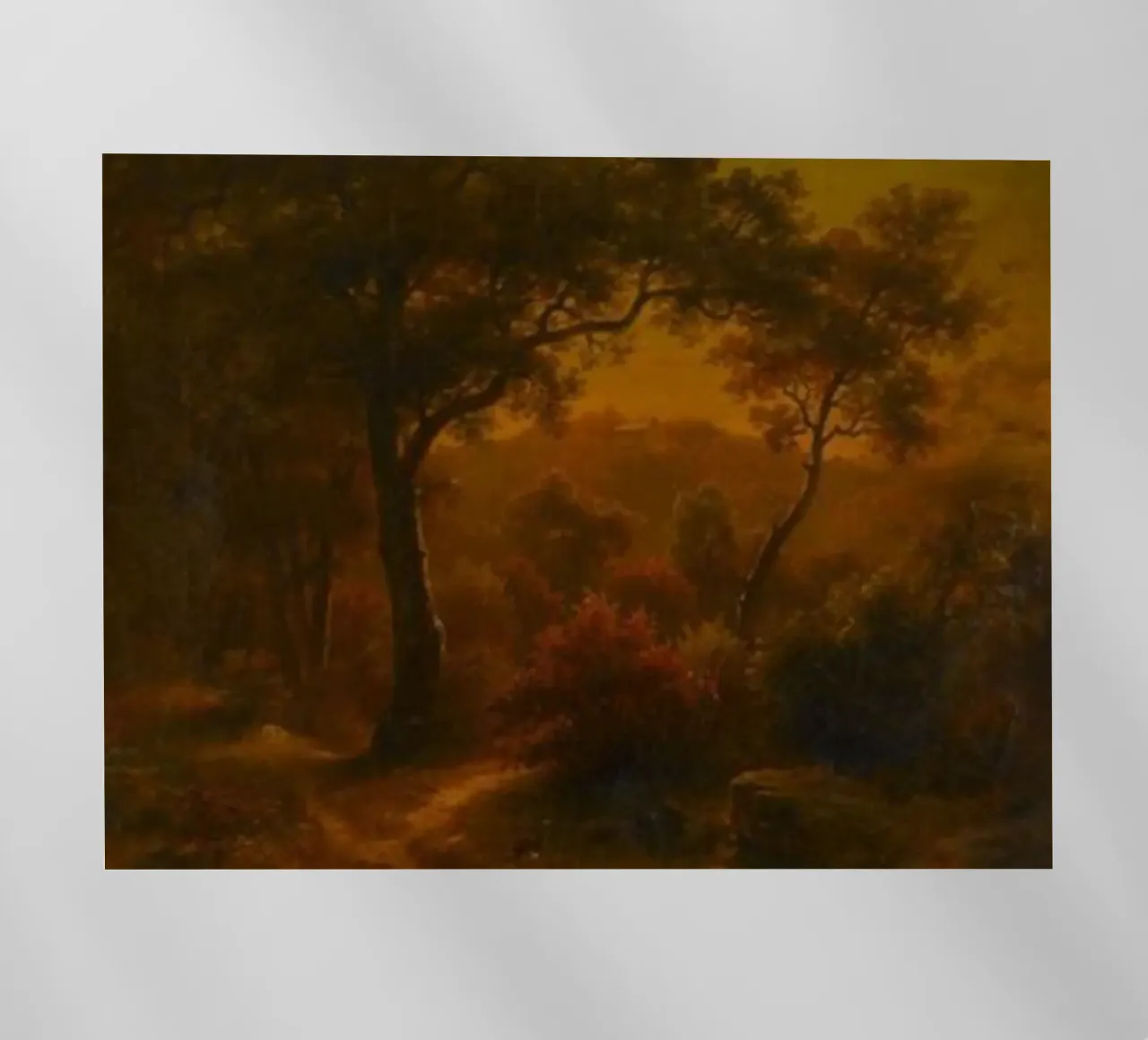 alberi che crescono bene pellicola backlit da pleceng shope