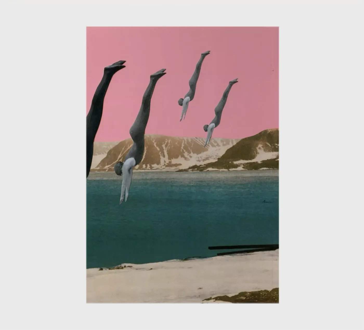 Dive notebook by Cassia Beck Collage