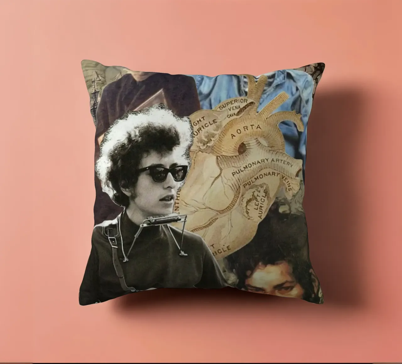Bob Dylan in concerto cuscino da xerico