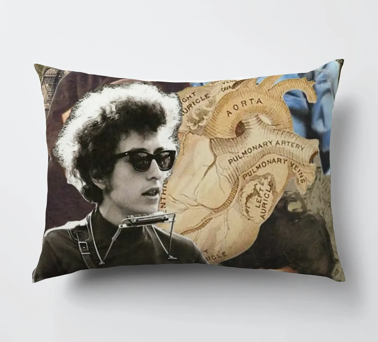 Bob Dylan in concerto cuscino da xerico