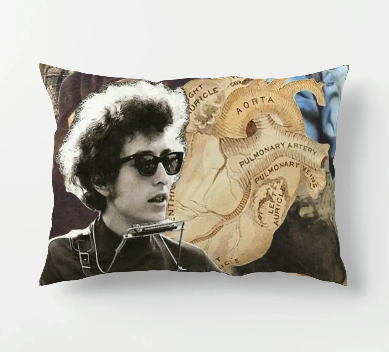 Bob Dylan in concerto cuscino da xerico