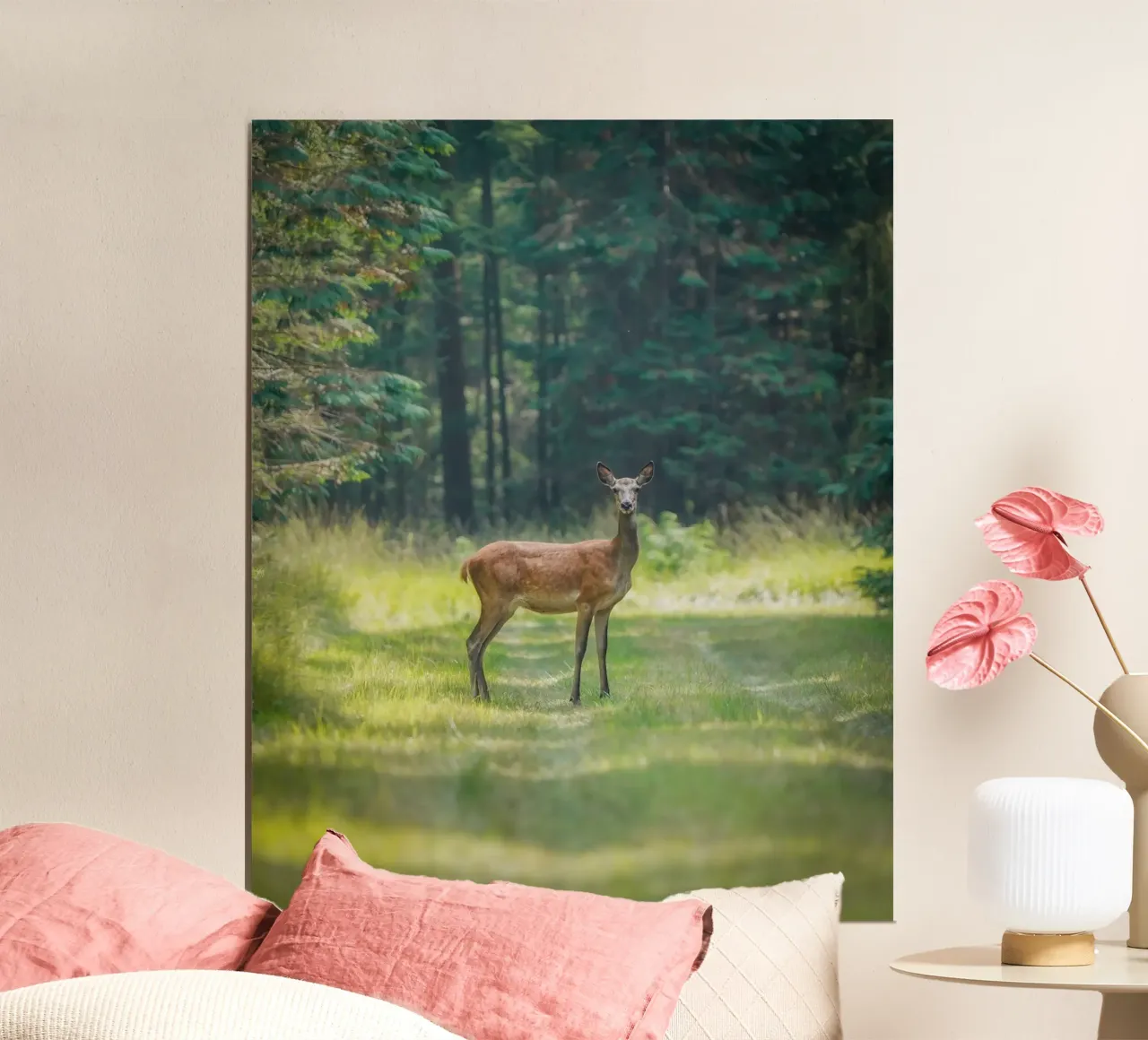 Cervo rosso in primo piano poster con telaio in alluminio da Tom's Wildlife