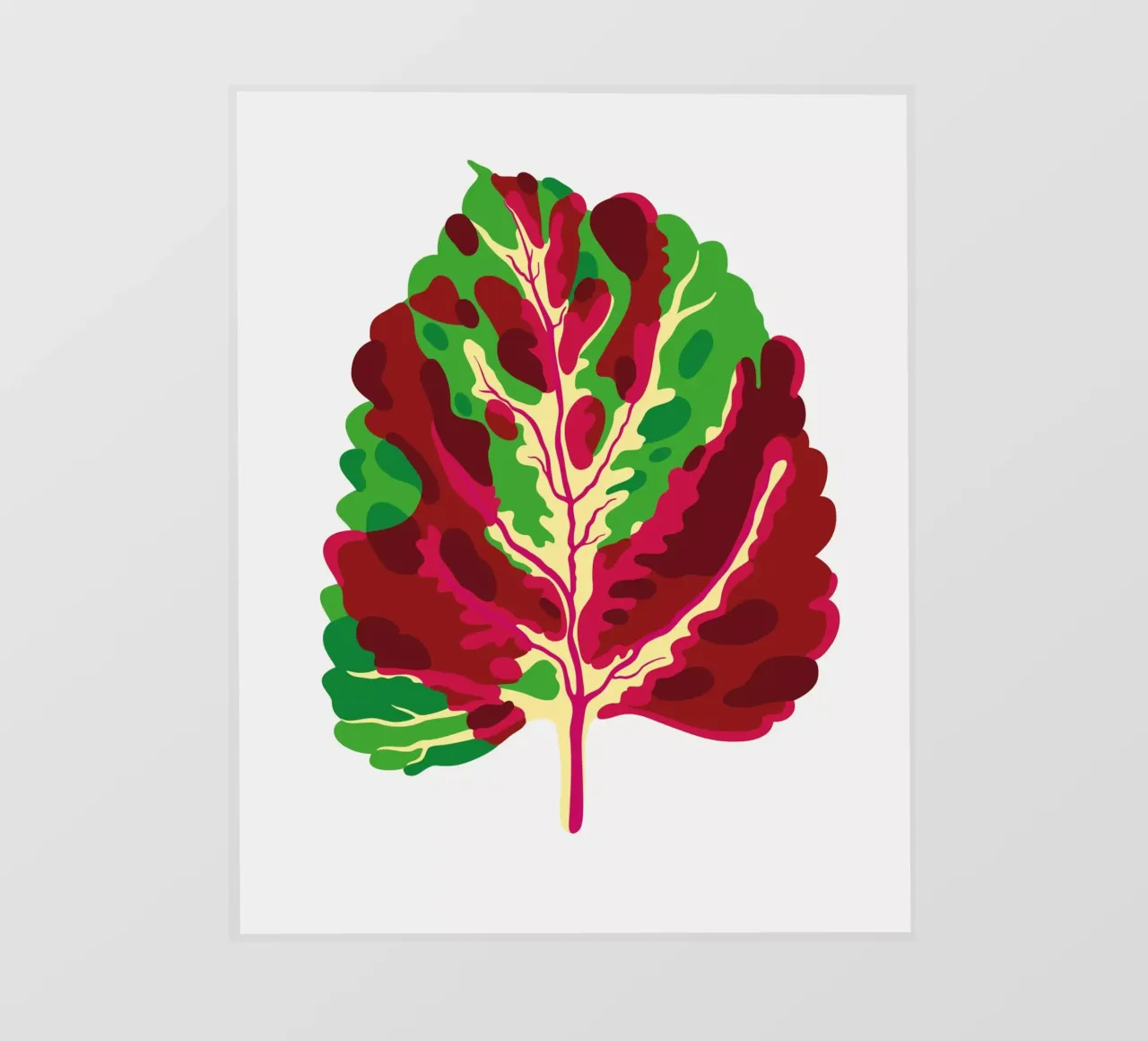 Cong Mosaic Coleus pellicola backlit da Lidia Blomgren