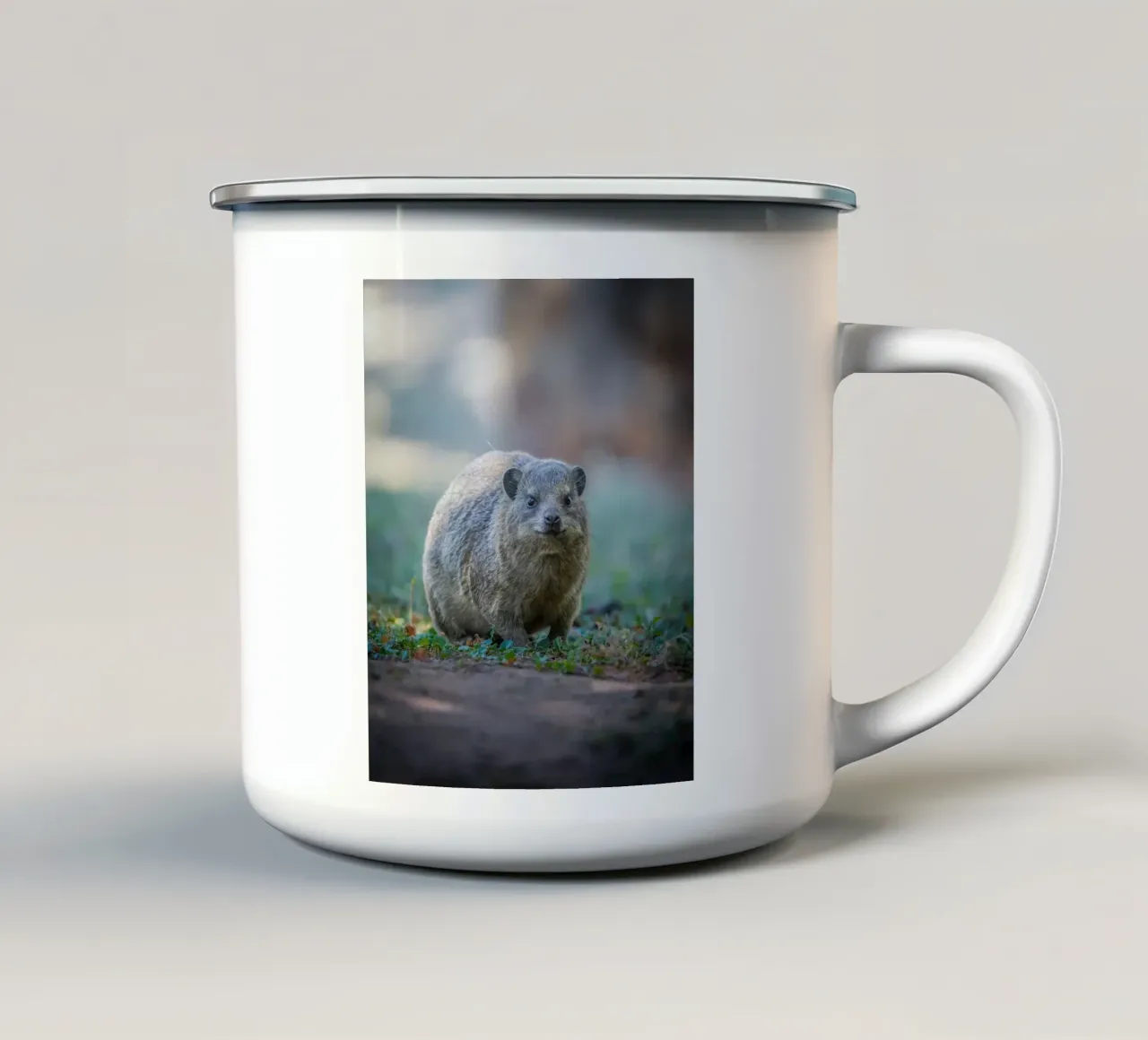 Irace di roccia tazza in smalto da Tom's Wildlife
