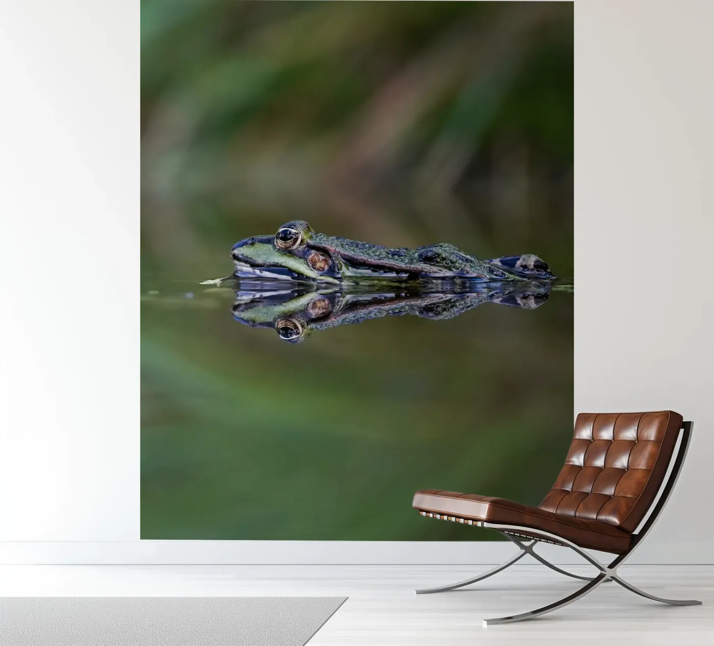 Frog reflection fotobehang van Tom's Wildlife
