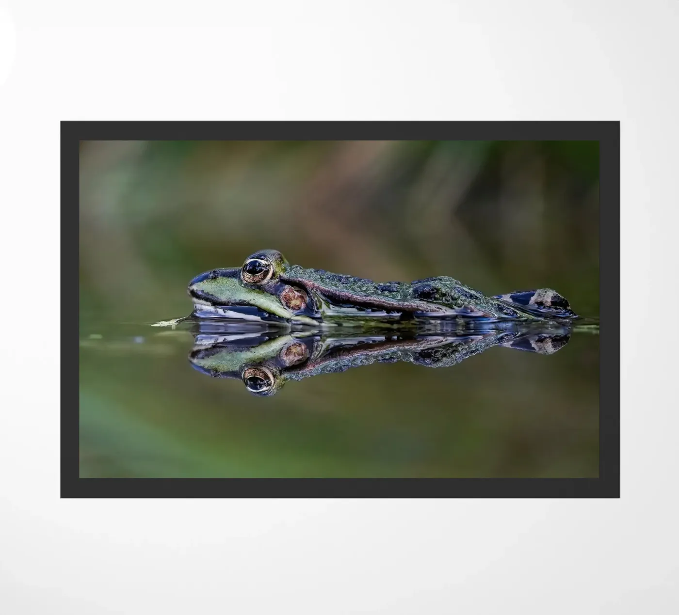 Kikkerreflectie deurmat van Tom's Wildlife