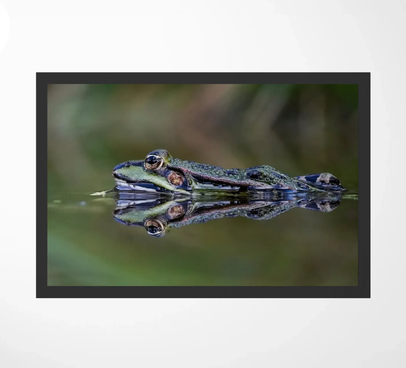 Frosch-Reflexion Fußmatte von Tom's Wildlife